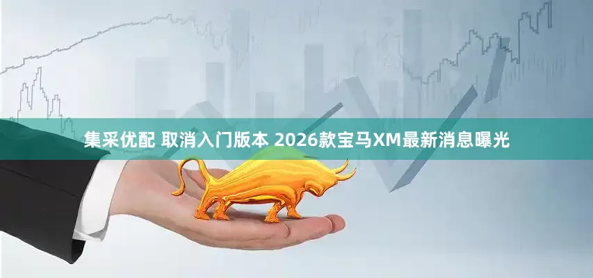 集采优配 取消入门版本 2026款宝马XM最新消息曝光