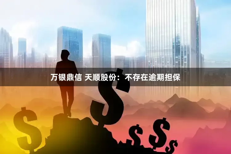 万银鼎信 天顺股份：不存在逾期担保
